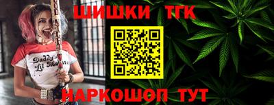 гидра Кингисепп