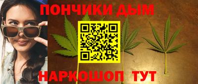 гидра Кингисепп