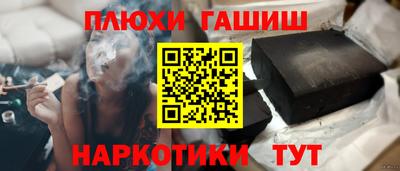 гидра Кингисепп