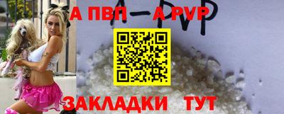 гидра Кингисепп