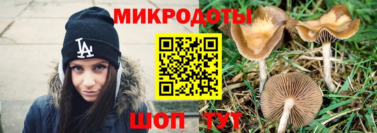 цены наркотик  Галлюциногенные грибы Magic Shrooms  Канаш  Вход с VPN  Галлюциногенные грибы Psilocybe 