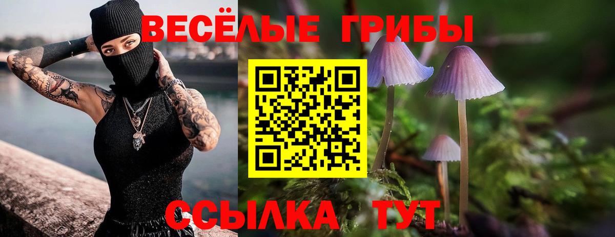 Псилоцибиновые грибы ЛСД Канаш